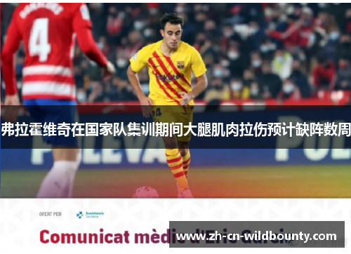 弗拉霍维奇在国家队集训期间大腿肌肉拉伤预计缺阵数周 弗拉霍维奇在国家队集训期间大腿肌肉拉伤预计缺阵数周